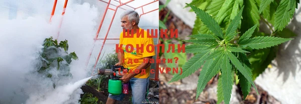 крисы Костерёво