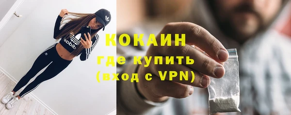 крисы Костерёво