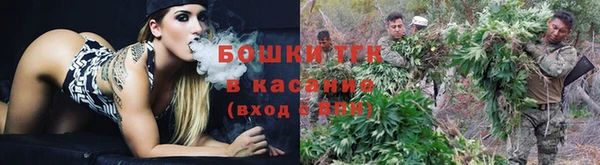 крисы Костерёво