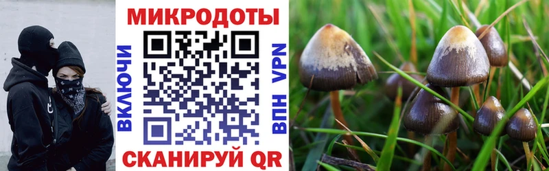 Купить где  Гремячинск  Галлюциногенные грибы прущие грибы 